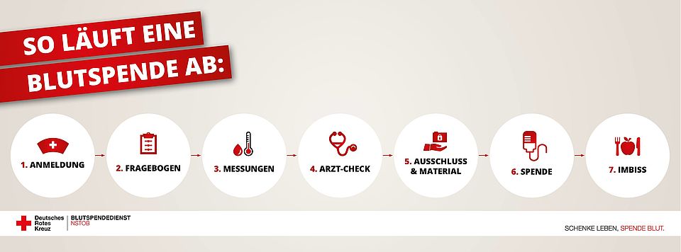 Blutspende Ablauf Grafik